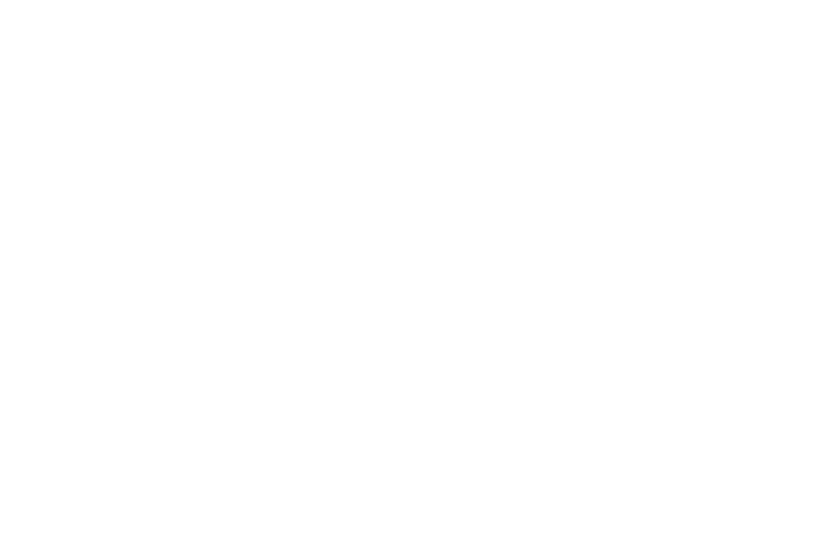 Marca Chile