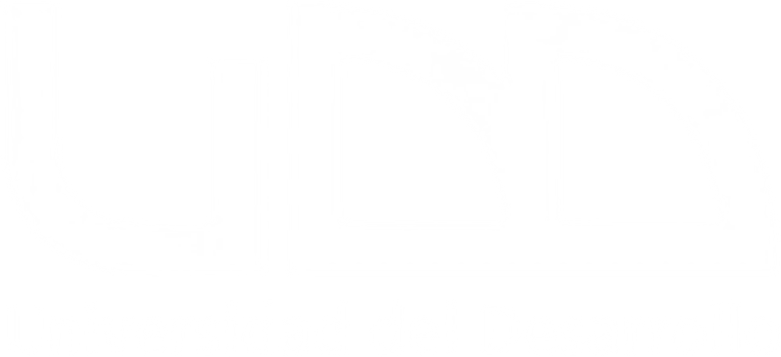 Universidad del Desarrollo